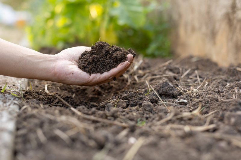 Najprostszy sposób na przyspieszenie kompostowania to dodanie aktywnego materiału bogatego w mikroorganizmy