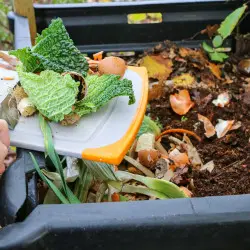 Ten jeden trik przyspiesza kompostowanie 2x. Mało kto o tym wie