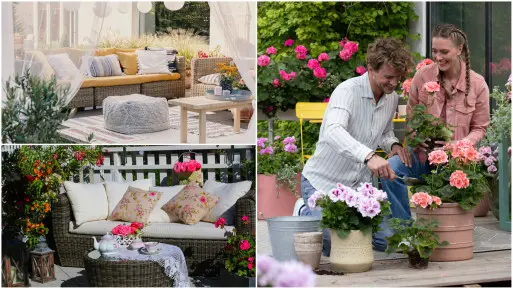 Balkon jak z Pinteresta bez wielkich wydatków? Zobacz, jakie kwiaty dadzą efekt „wow”