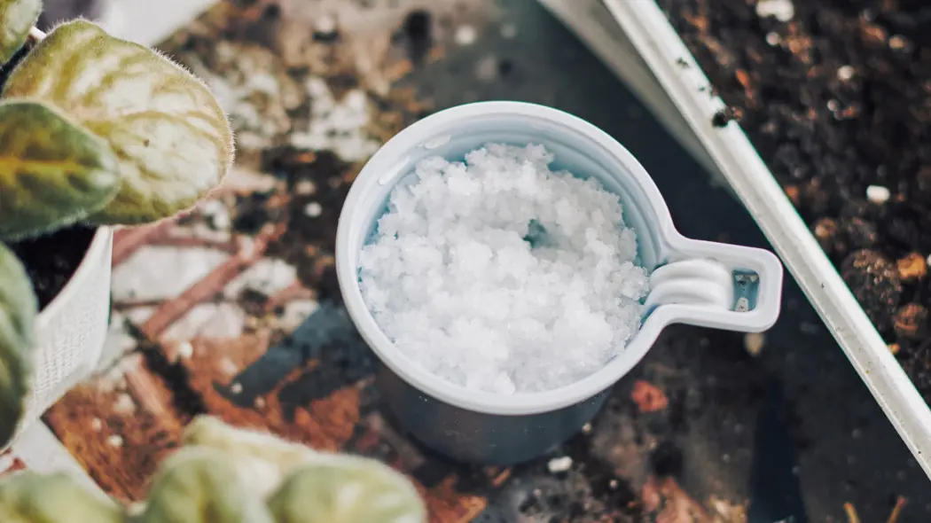 Co wsypać do donicy, żeby kwiaty rosły 2 razy szybciej? Nie chodzi o nawóz