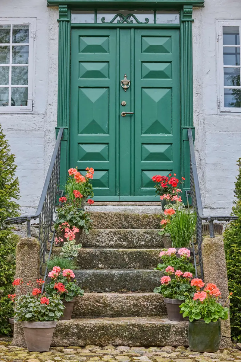 Pelargonie w donicach ustawione na schodach