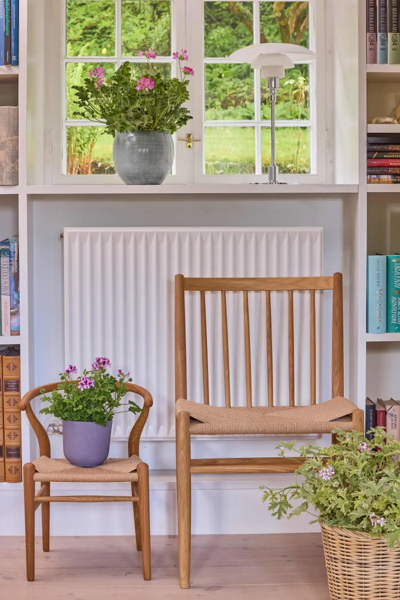 Pelargonie w nowoczesnym, wiejskim stylu