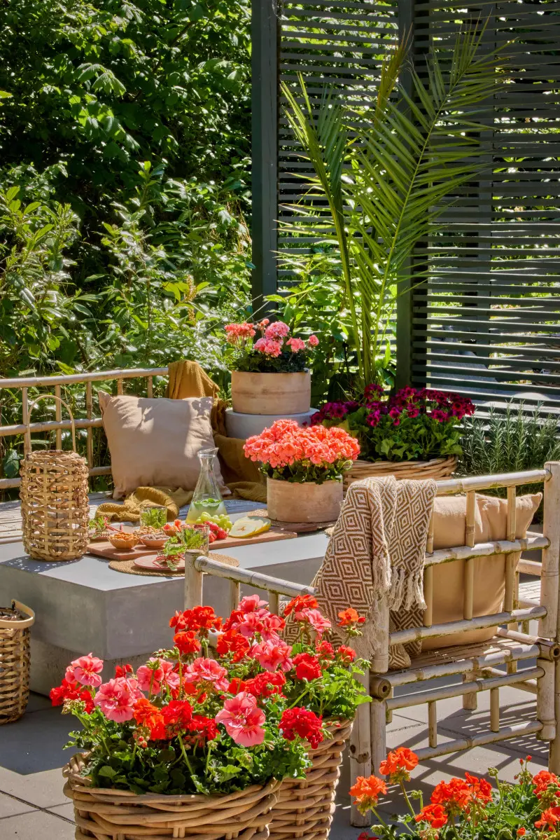 Projekt zewnętrzny pokazuje, jak natura i design mogą być połączone bez wysiłku