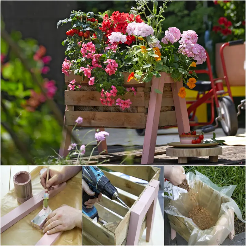 mini grządka w skrzynce po owocach