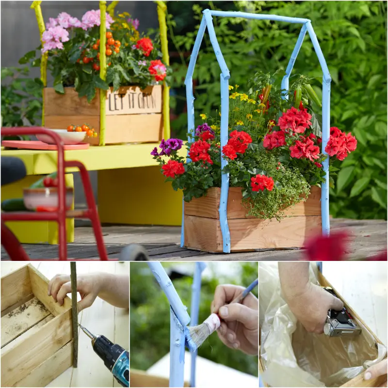 mini szklarnia w drewnianej skrzynce