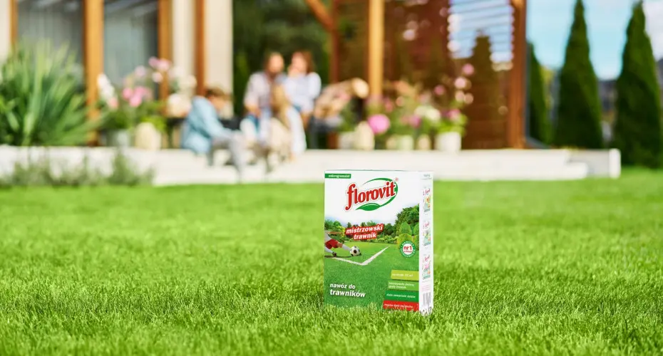 Sekret idealnego zielonego dywanu? Zastosuj taktykę mistrza trawnika