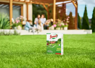 Sekret idealnego zielonego dywanu? Zastosuj taktykę mistrza trawnika