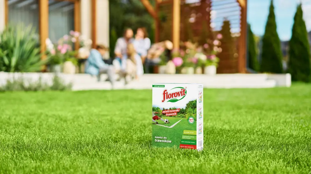 Sekret idealnego zielonego dywanu? Zastosuj taktykę mistrza trawnika