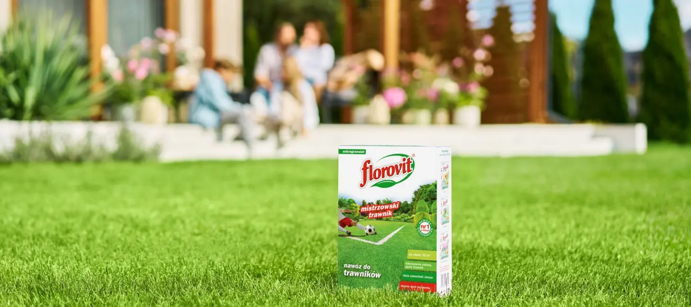 Sekret idealnego zielonego dywanu? Zastosuj taktykę mistrza trawnika