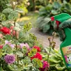 Jak pozbyć się ziemiórek bez chemicznych preparatów? Wystarczą te dwie rzeczy