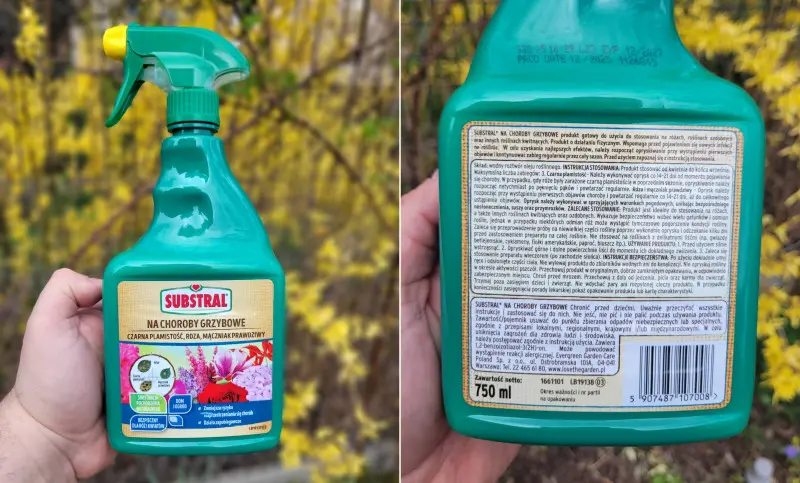 Jeden preparat na trzy najczęstsze choroby roślin