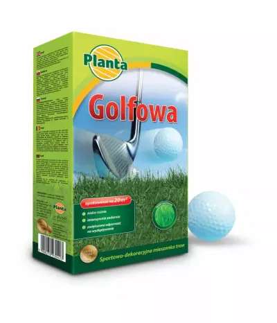 Trawa Golfowa