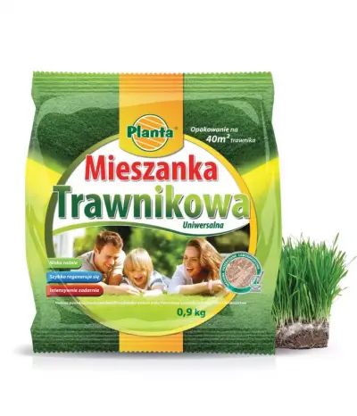 Trawa Mieszanka Trawnikowa