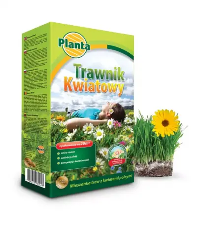 Trawa Trawnik Kwiatowy