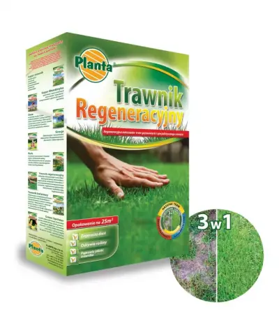 Trawa Trawnik Regeneracyjny