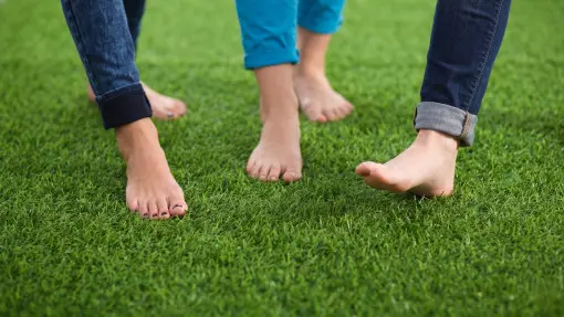 Zielona murawa bez plam i mchu? Sprawdź "metodę trzech kroków"