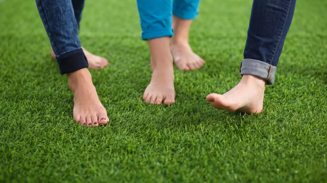 Jak mieć najbardziej zielony trawnik w okolicy? Sekret tkwi w "metodzie trzech kroków"