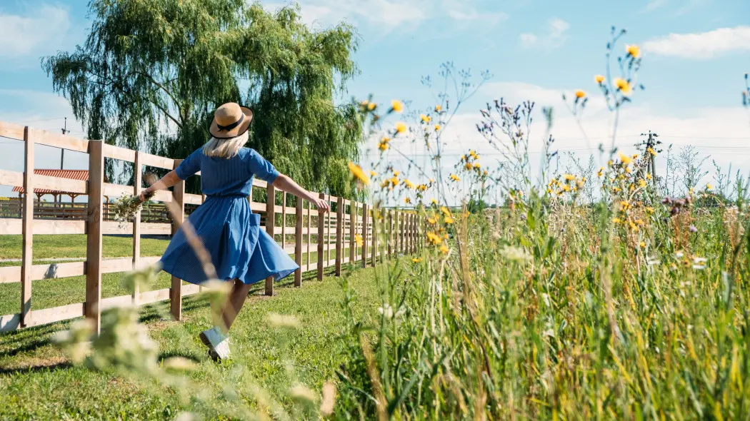 Lemonading - popularny trend w ogrodnictwie