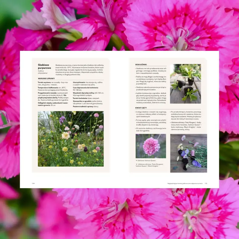 Anna Danicka Ogród pełen kwiatów