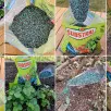 Sekret idealnego zielonego dywanu? Zastosuj taktykę mistrza trawnika