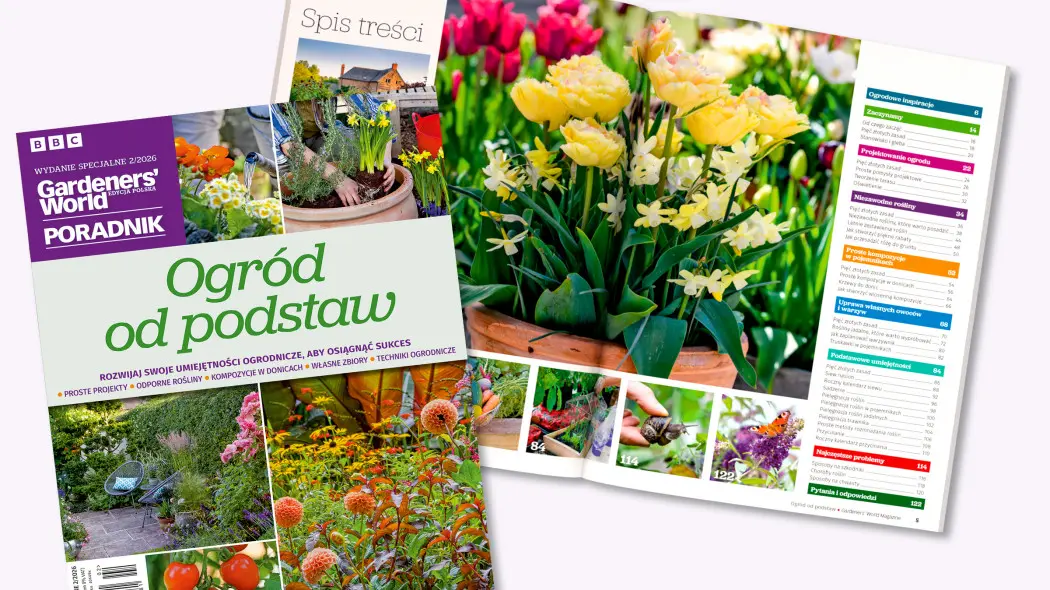 Ogród od podstaw – numer specjalny Gardeners' World już w sprzedaży