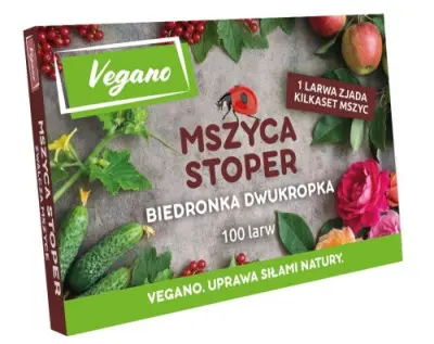 Mszyca Stoper - Larwy biedronki dwukropki