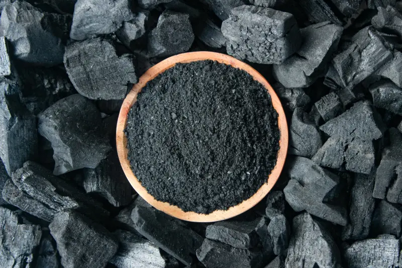 Węgiel aktywny do roślin działa jak naturalny filtr