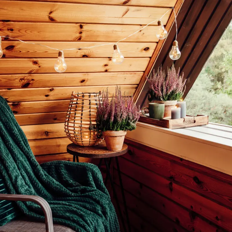 Kwiaty na balkon we wrześniu