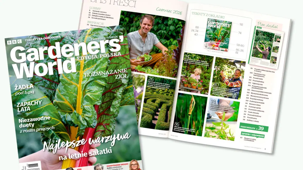 Czerwcowy numer Gardeners’ World pełen inspiracji: letnie sałatki, warzywa, pachnące rabaty i praktyczne porady do ogrodu.