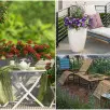 Ogławianie pelargonii. Jak i po co usuwać stare kwiaty? I dlaczego warto to robić regularnie