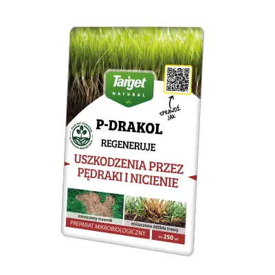 P-Drakol