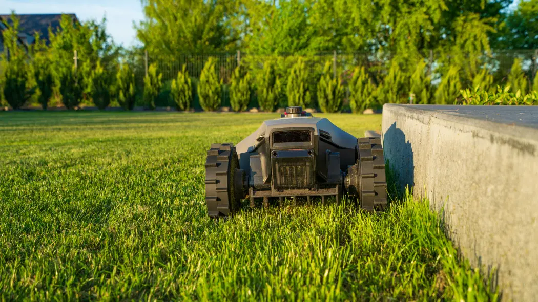 Robot koszący nie załatwia całej pielęgnacji. Te prace i tak będzie trzeba zrobić