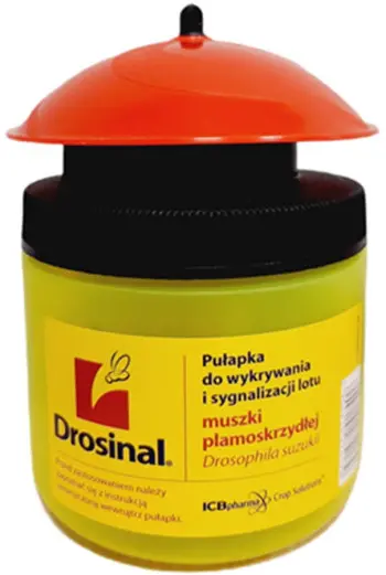 Pułapka na muszkę plamoskrzydłą