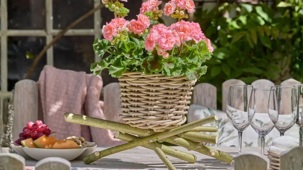 Naturalne drewno i kwitnące pelargonie. To połączenie zawsze się sprawdza