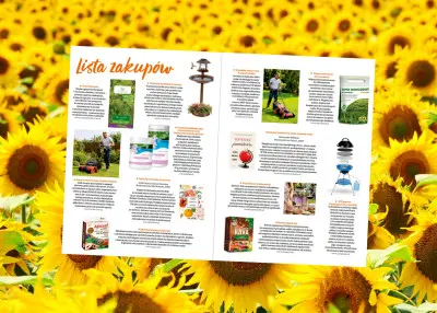 Wakacyjna lista zakupów. Produkty, które ułatwią lato w ogrodzie