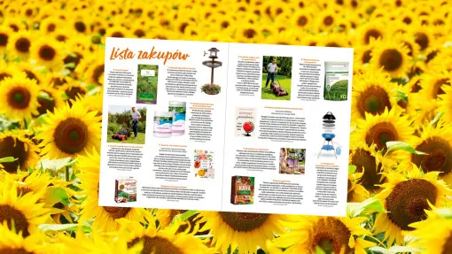 Wakacyjna lista zakupów. Produkty, które ułatwią lato w ogrodzie