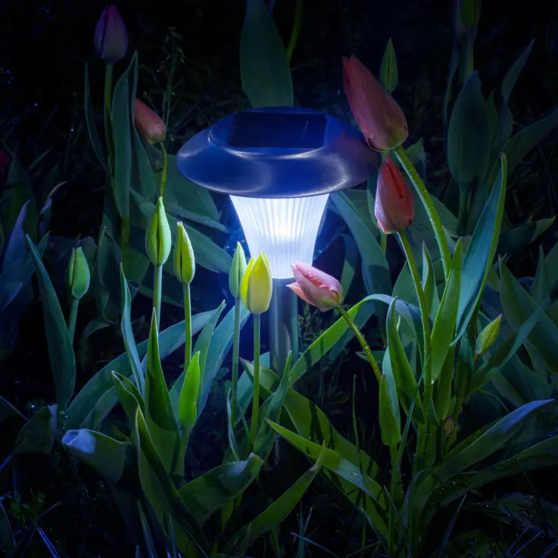 Lampy na rabatach powinny świecić w dół