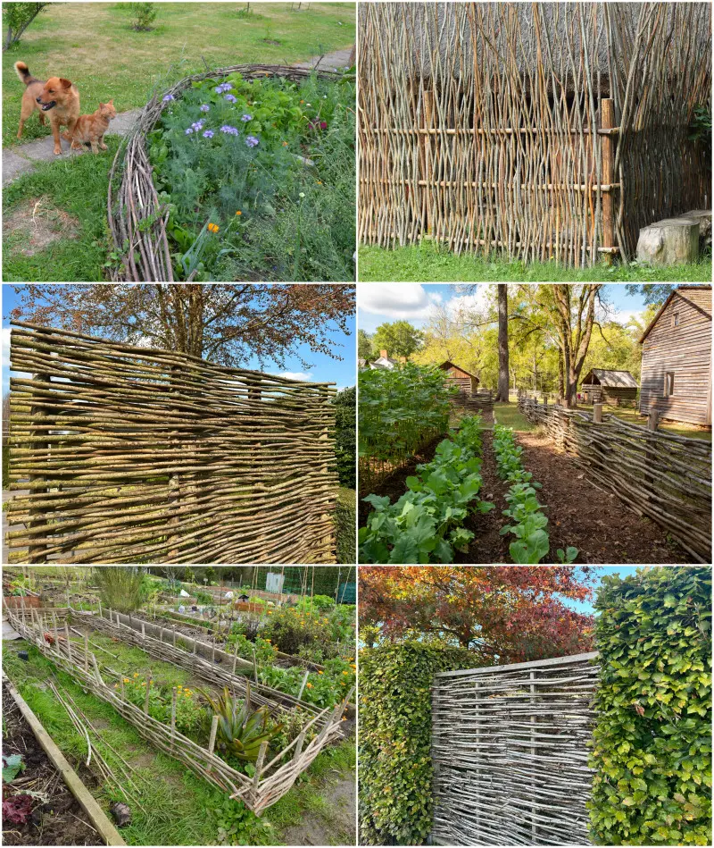 Płotek z wikliny wraca do ogrodów. Jest tani, naturalny i prosty do wykonania