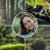 Jakie cebulki warto posadzić jesienią? Te 10 gatunków zachwyci Cię wiosną