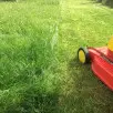 Chcesz nowy trawnik? Nie czekaj do wiosny. Dobry termin właśnie się zaczyna