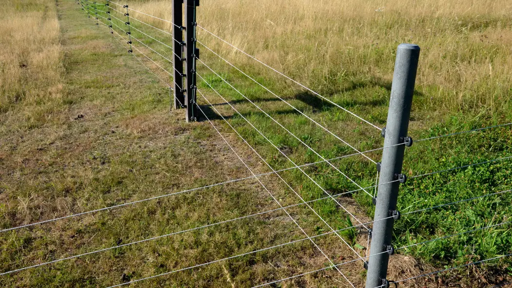 Ogrodzenie elektryczne - pastuch elektryczny