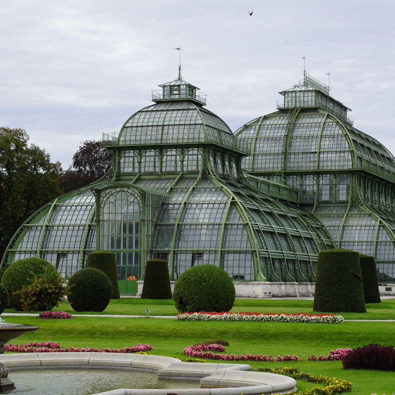 Palmiarnia przy Pałacu Schönbrunn