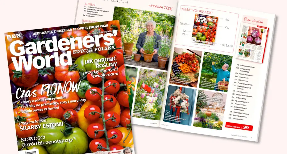 Czas plonów, jesienne inspiracje i ogrody bliżej natury. Co znajdziesz we wrześniowym Gardeners’ World?