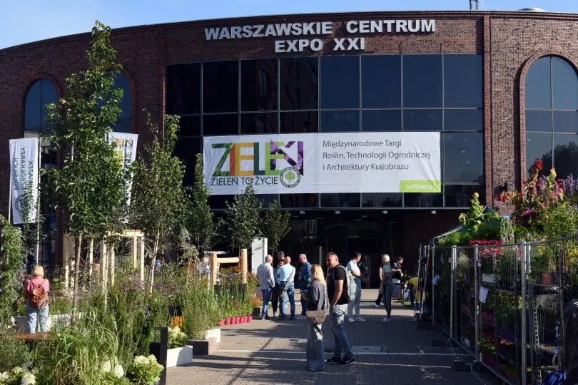 Zielony ogrodek