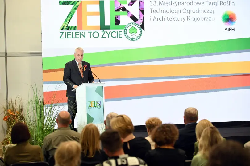 Zielony ogrodek