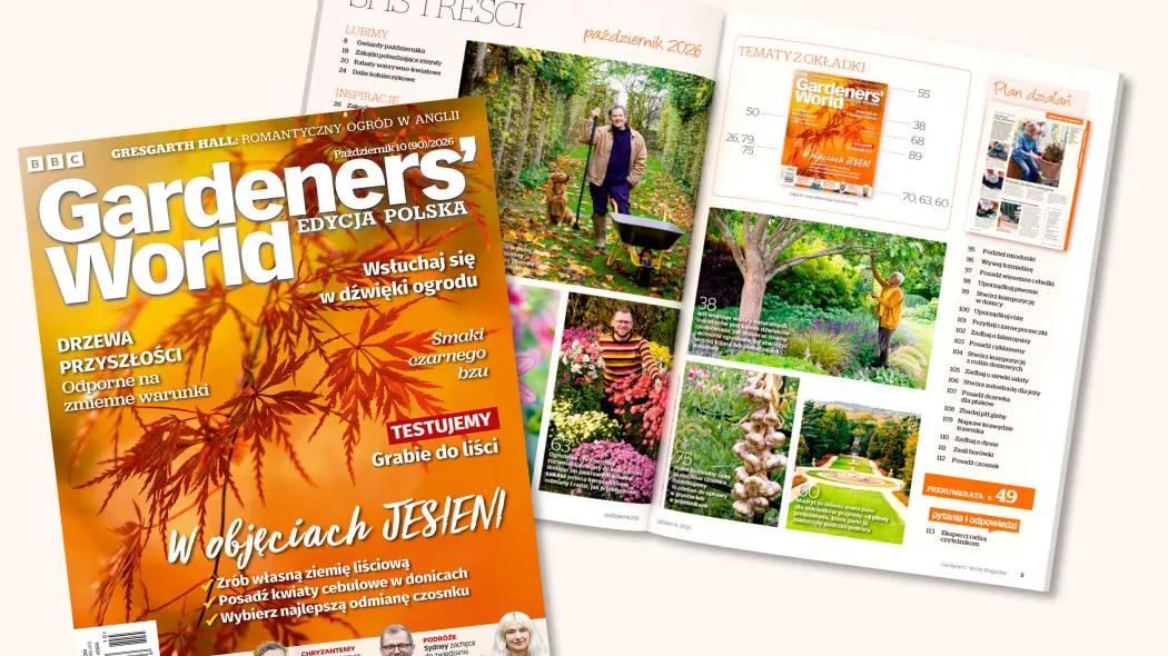 Październik w ogrodzie pełen kolorów. Co znajdziesz w nowym Gardeners’ World?
