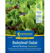 Mieszanka nasion Sałat Baby Leaf Maraldi, nasiona otoczkowane Kiepenkerl