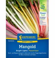 Boćwina Bright Lights, nasiona otoczkowane Kiepenkerl