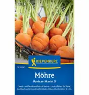 Marchew Paryżanka Kiepenkerl