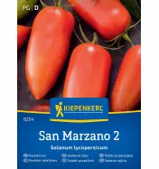 Pomidor sałatkowy włoski San Marzano 2 Kiepenkerl